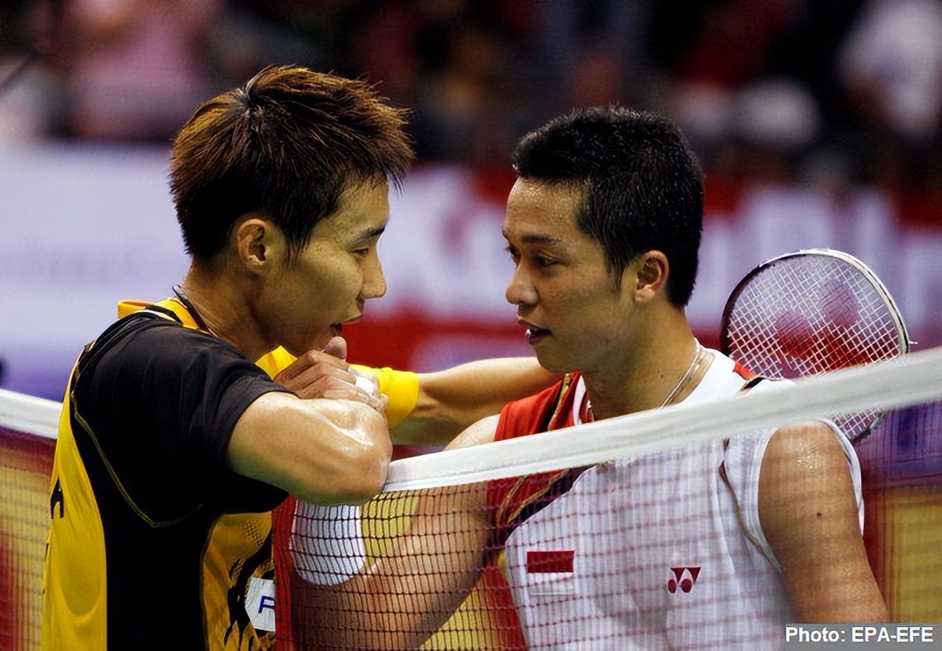 包含日本羽毛球队碾压韩国羽毛球队，陶菲克统治全场的词条