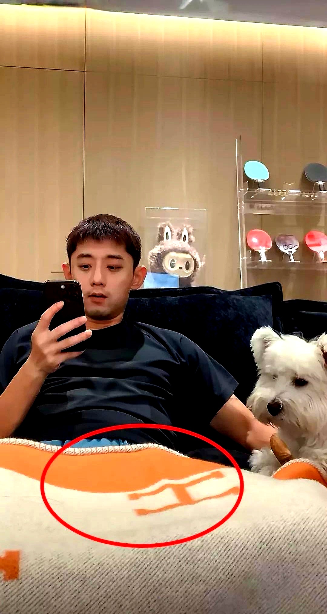 包含韩国乒乓球队碾压比利时乒乓球队，张继科送出助攻的词条