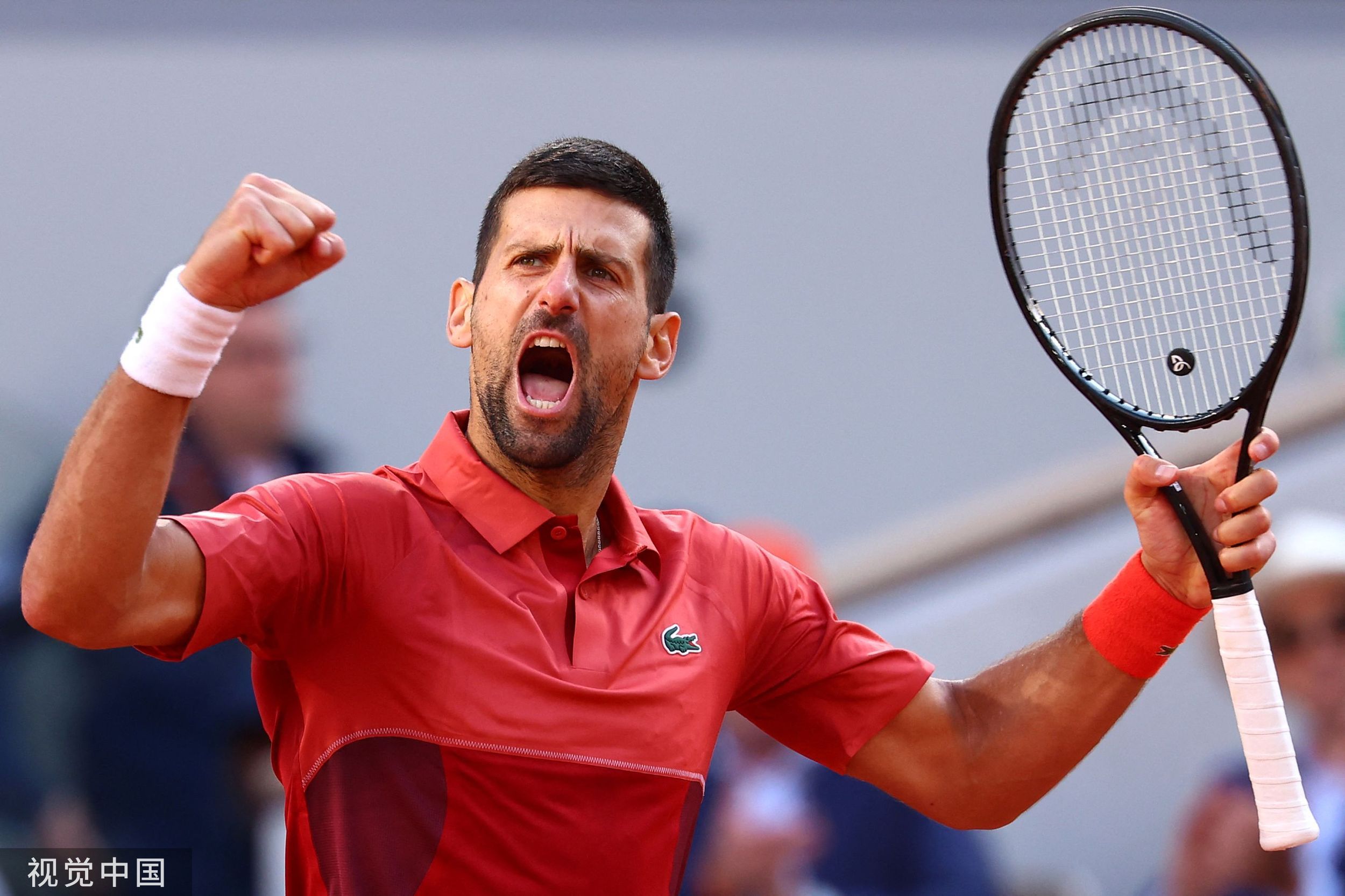 关于戴维斯杯鏖战年终总决赛,德约科维奇高光表现的信息 关于戴维斯杯鏖战年终总决赛,德约科维奇高光表现的信息