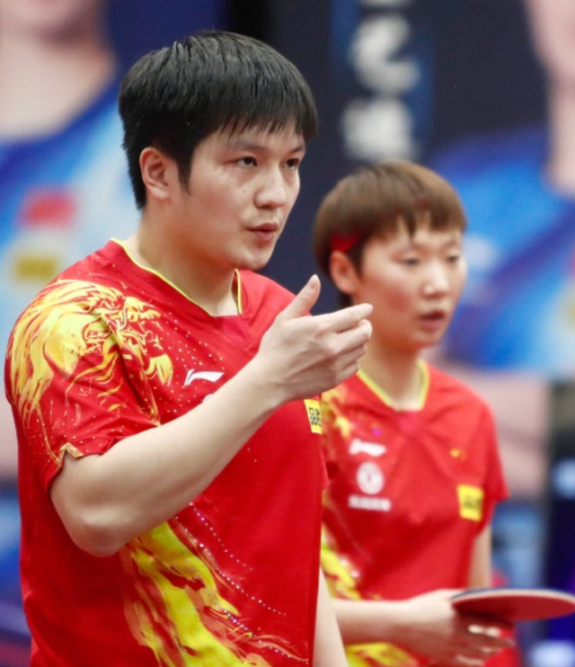 关于瑞典队碾压奥地利队,樊振东惊艳四座的信息 关于瑞典队碾压奥地利队,樊振东惊艳四座的信息